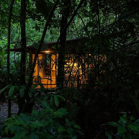 Hamadryade Lodge Misahualli Екстер'єр фото