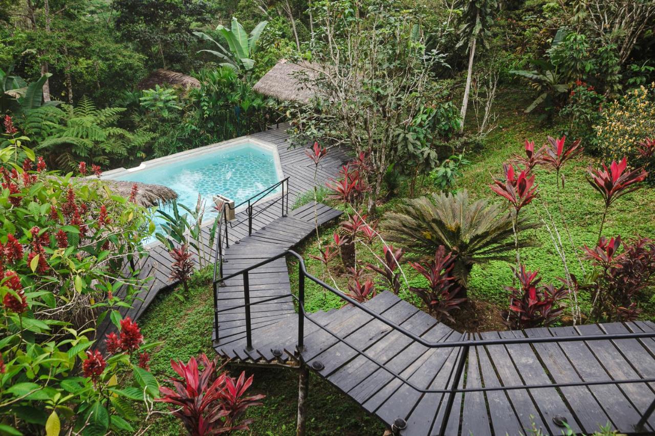 Hamadryade Lodge Misahualli Екстер'єр фото