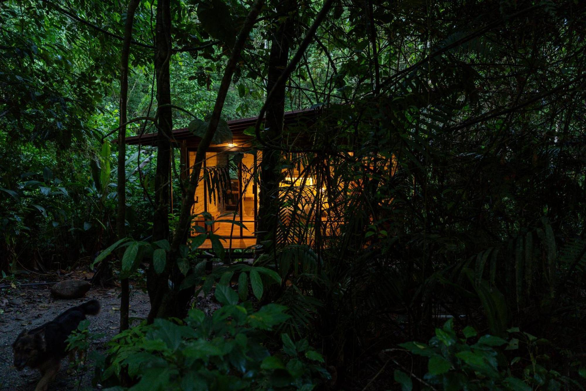 Hamadryade Lodge Misahualli Екстер'єр фото